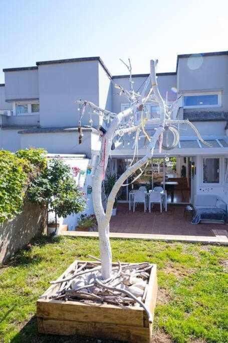 Arbol Blanco Villa Llanera  Exterior foto